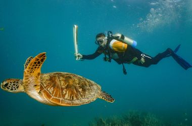 Queen's Baton Relay goes underwater for the first time in the Great Barrier Reef!