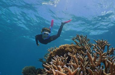 Scientists praise for Agincourt Reef