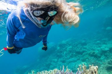 Hayley's leading role in Cairns & Great Barrier Reef brand launch