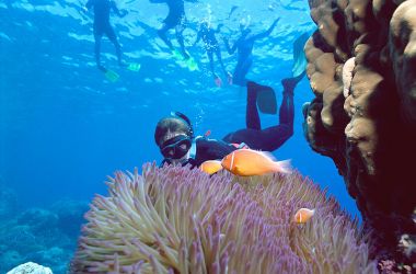 Reef Biosearch turns 35