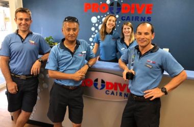 Pro Dive Cairns Celebrating 35 Years of Scuba Diving Excellence