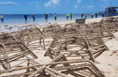 Stars, clips and cable ties... Coral Reef resilience project installed at Green Island
