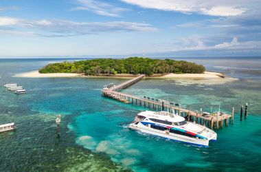 Celebrating 100 years of Green Island cruising