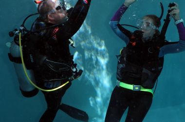 Quicksilver Dive recognised for Outstanding Contribution to Diver Training