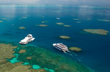 Best job in the world contender! Living and working on the Great Barrier Reef