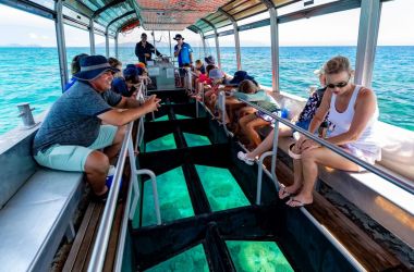 New daily marine biologist activity program for Resort guests