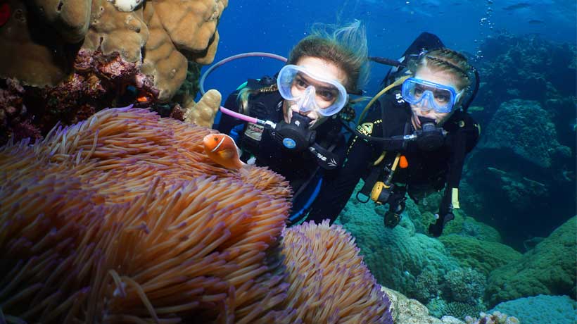 Finding Nemo with Quicksilver Dive Centre