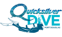 Quicksilver Dive 